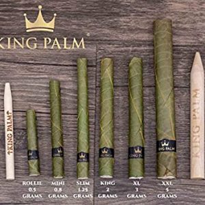 King Palm